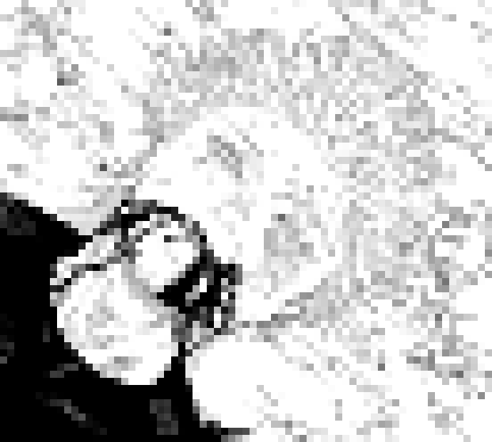 [006d2b] whatever has that nigga spooked i don't wanna see it gro