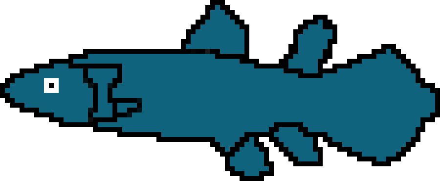 [8b494b] coelocanth
