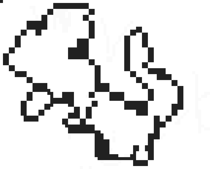 Black and white Charmeleon