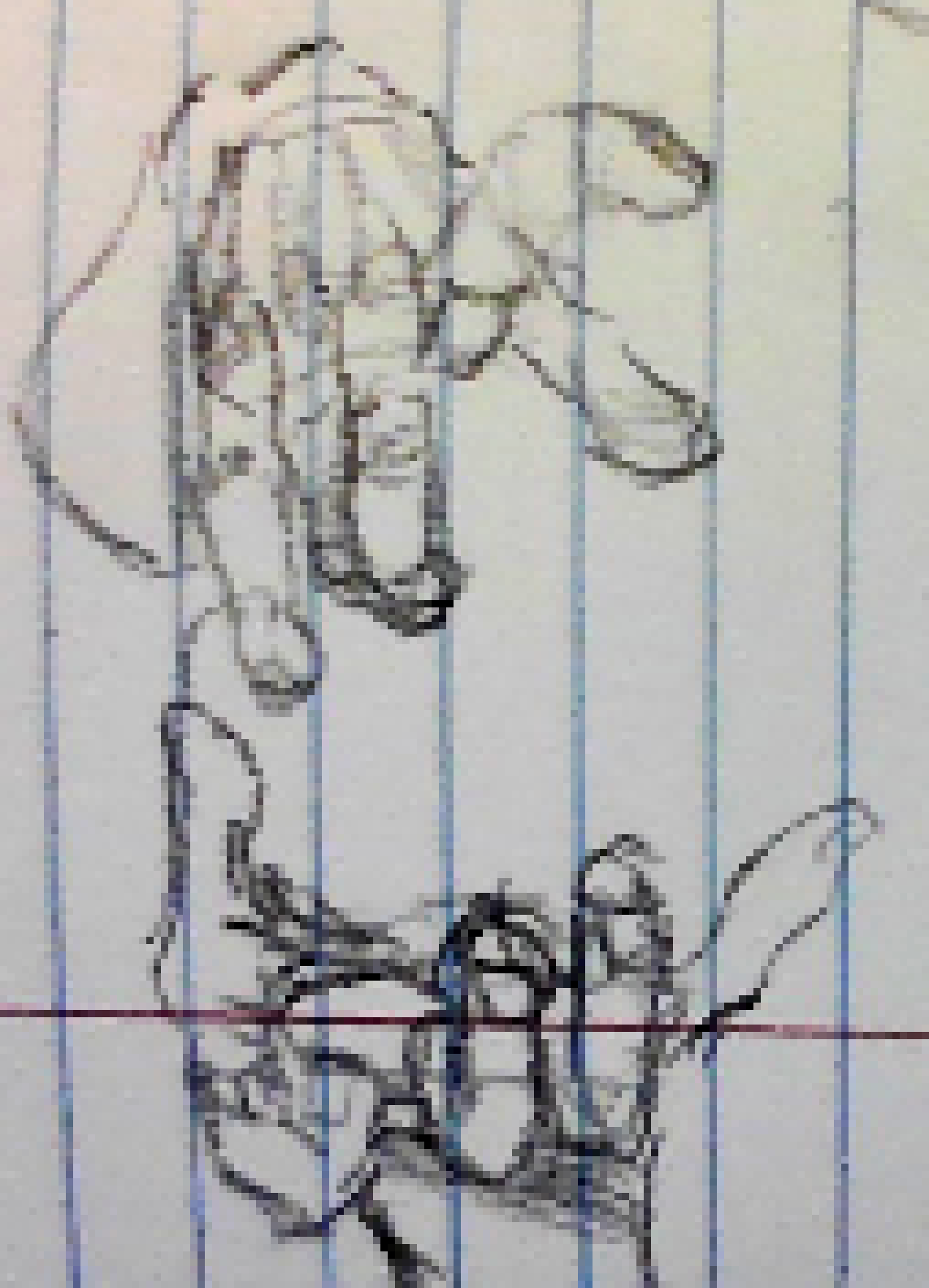 [5bbfd7] im pluhing it