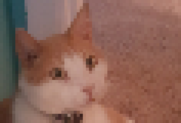 oh ok. but anyways.... DRAGON TALES DRAGON TALES!!! ITS ALMOST TIME FOR DRAGON TALES!! COME ALONG AND TAKE MY HAND! LETS ALL GO TO DRAGON LANDDDDDDDDDDDD!!!!