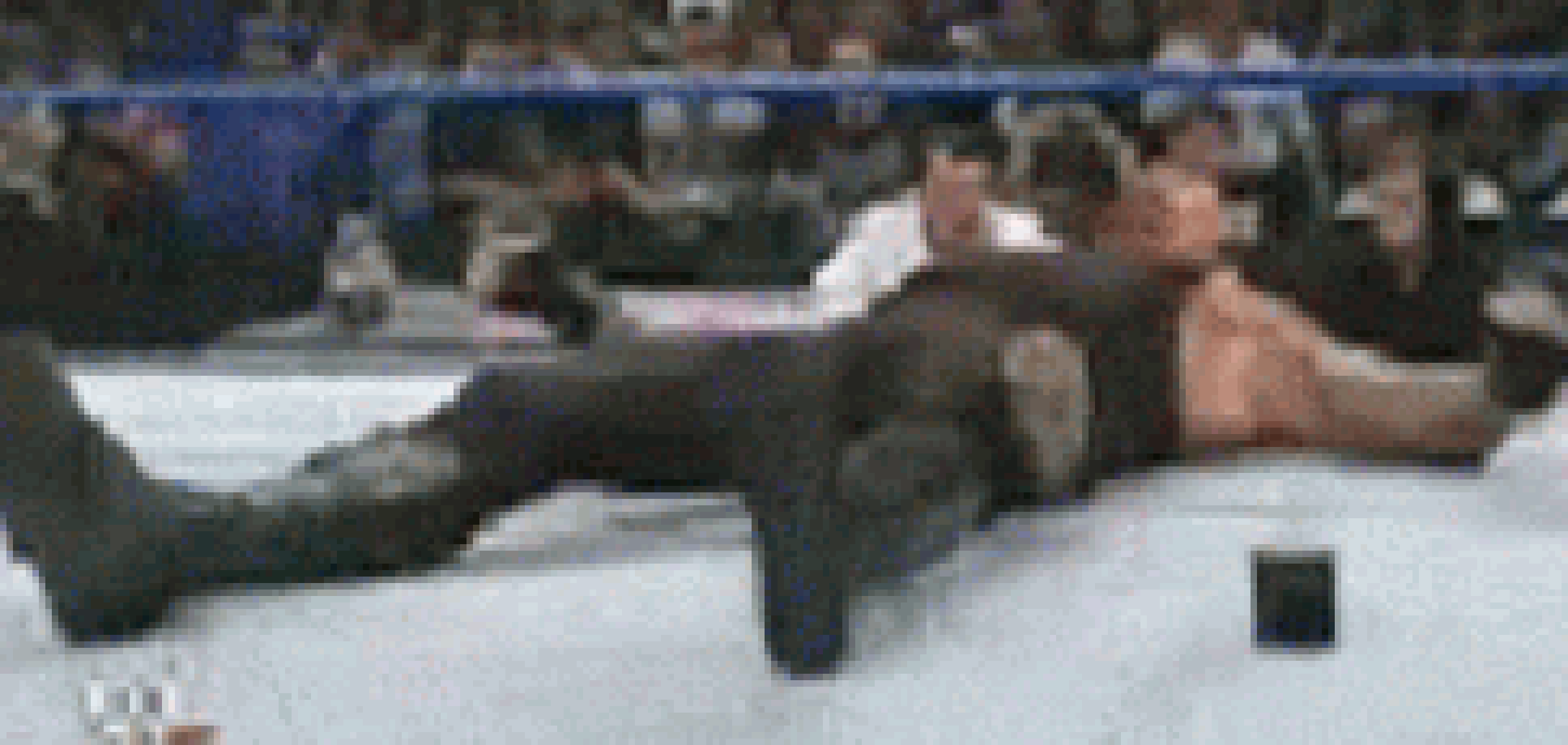 [35dc76] ((gotta remember to save the link to it this time))