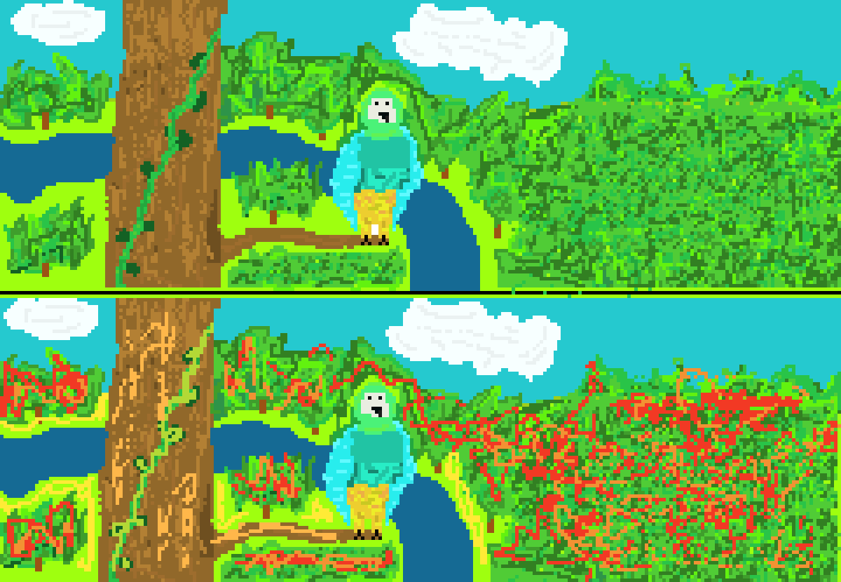 Rain forest Destruction