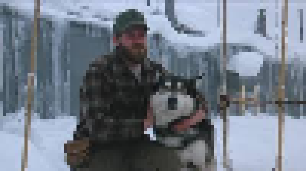 [57dac4] YelloWool fan detected, HUSKY GO!