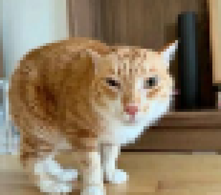 [d4cbe3] nekros we are gonna have to fucking kill you, you know that right? im gonna do a fucking eidon-cides man, thats just how it has to be man.