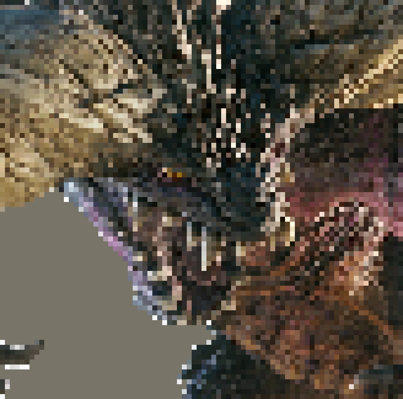 [e4c2a9] ALSO- sounds goodio Cy