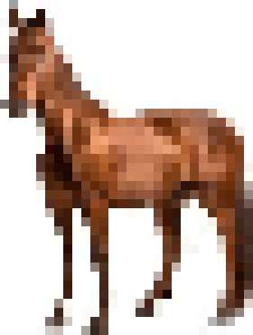 [050127] picture of a horse