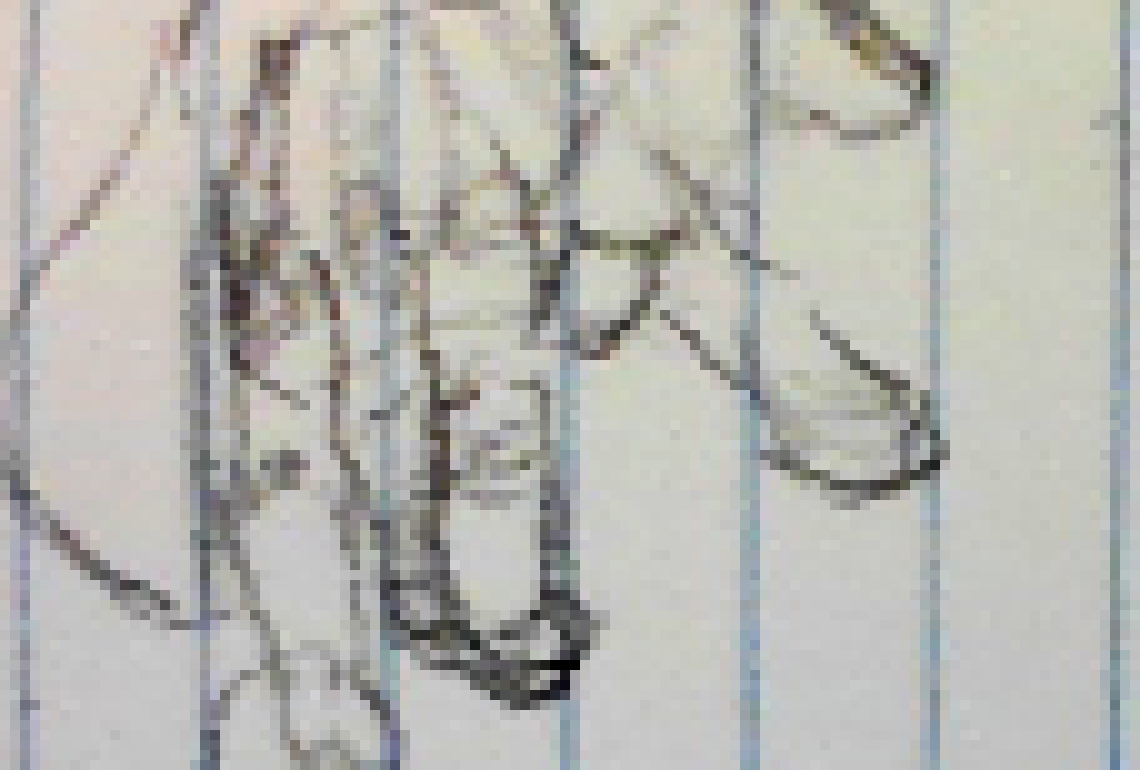 [7d85eb] https://youtu.be/YcM5PHft0EQ