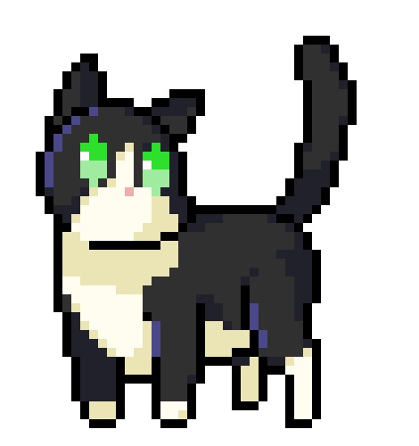 [8aae45] Tuxedo Kitty