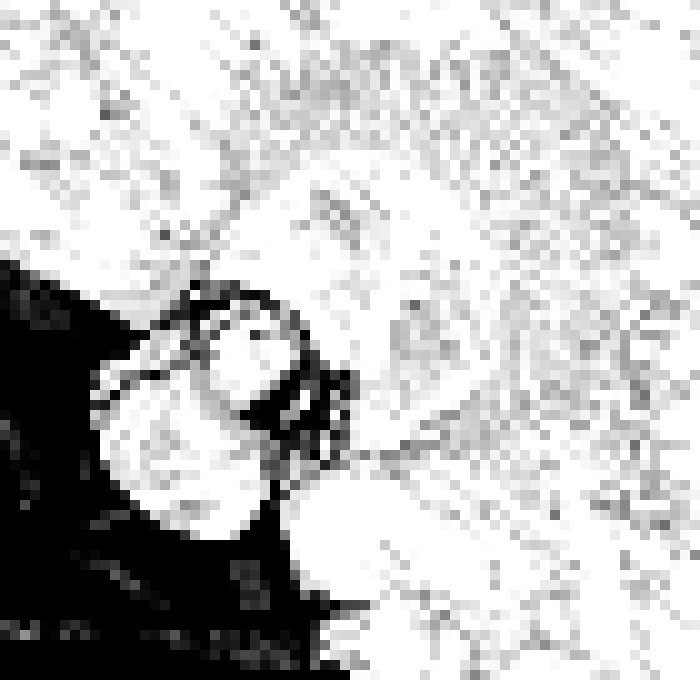 [a5f429] do NOT find his plants let them sink into the earth to never be found