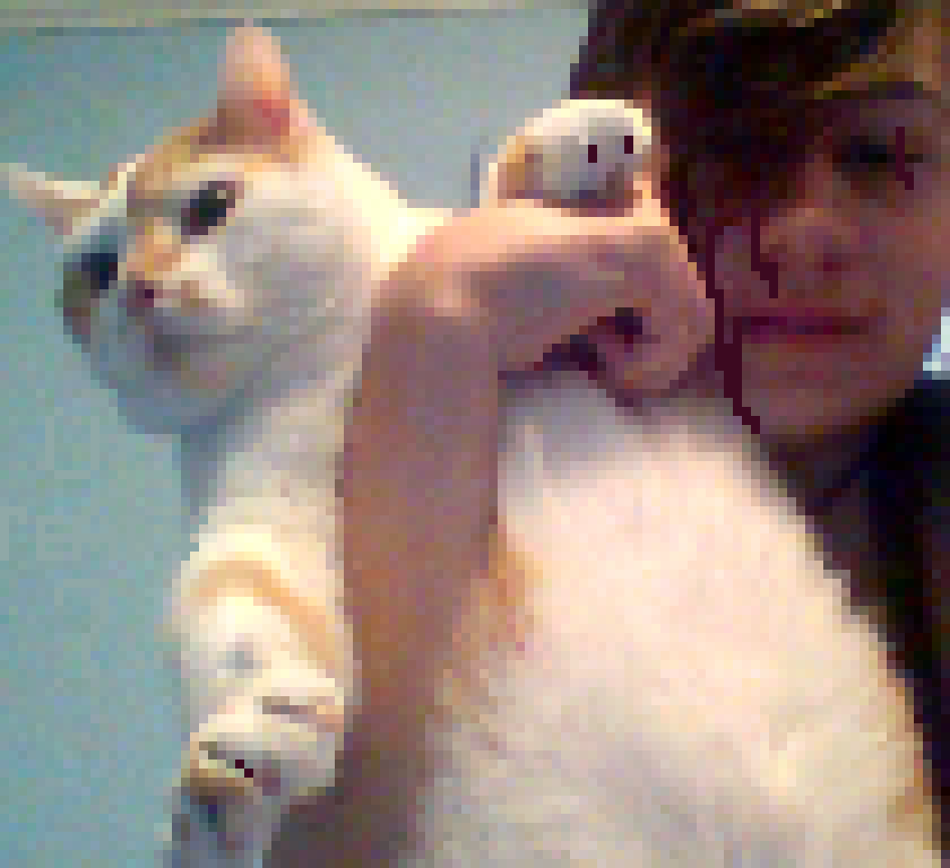 ya! also evan has 2 kittys! lilly and this is chester! but i made chester evil and hurt evan! >:3  -oreo