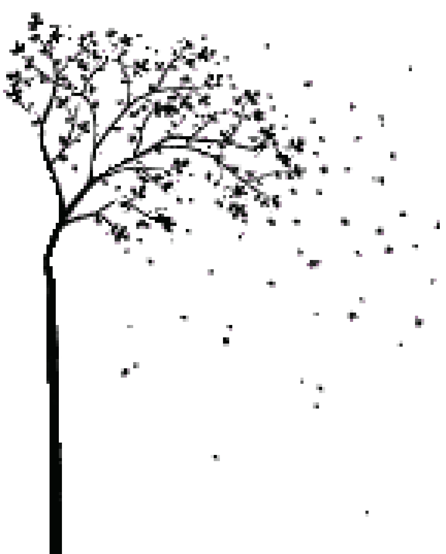 [873388] ArbreOctobre