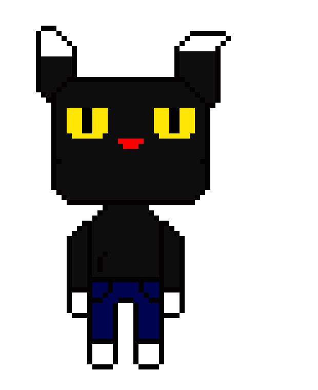 i dont even have a name for this cat