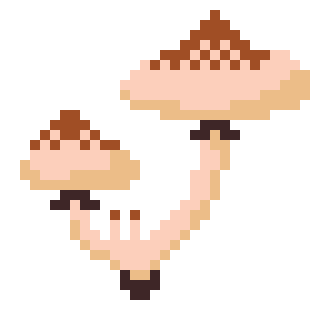 [385d63] Shrooms