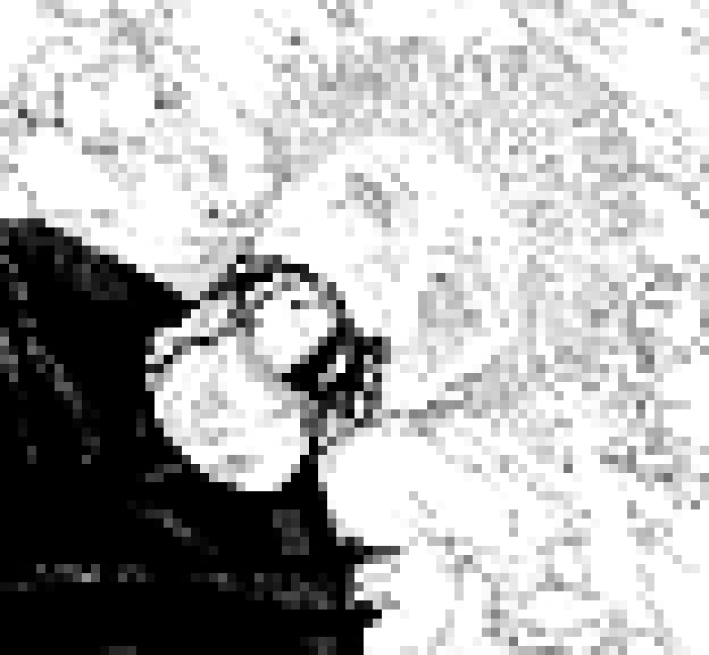 [006d2b] MY WILL TO FIGHT. THE. KNIGHT.