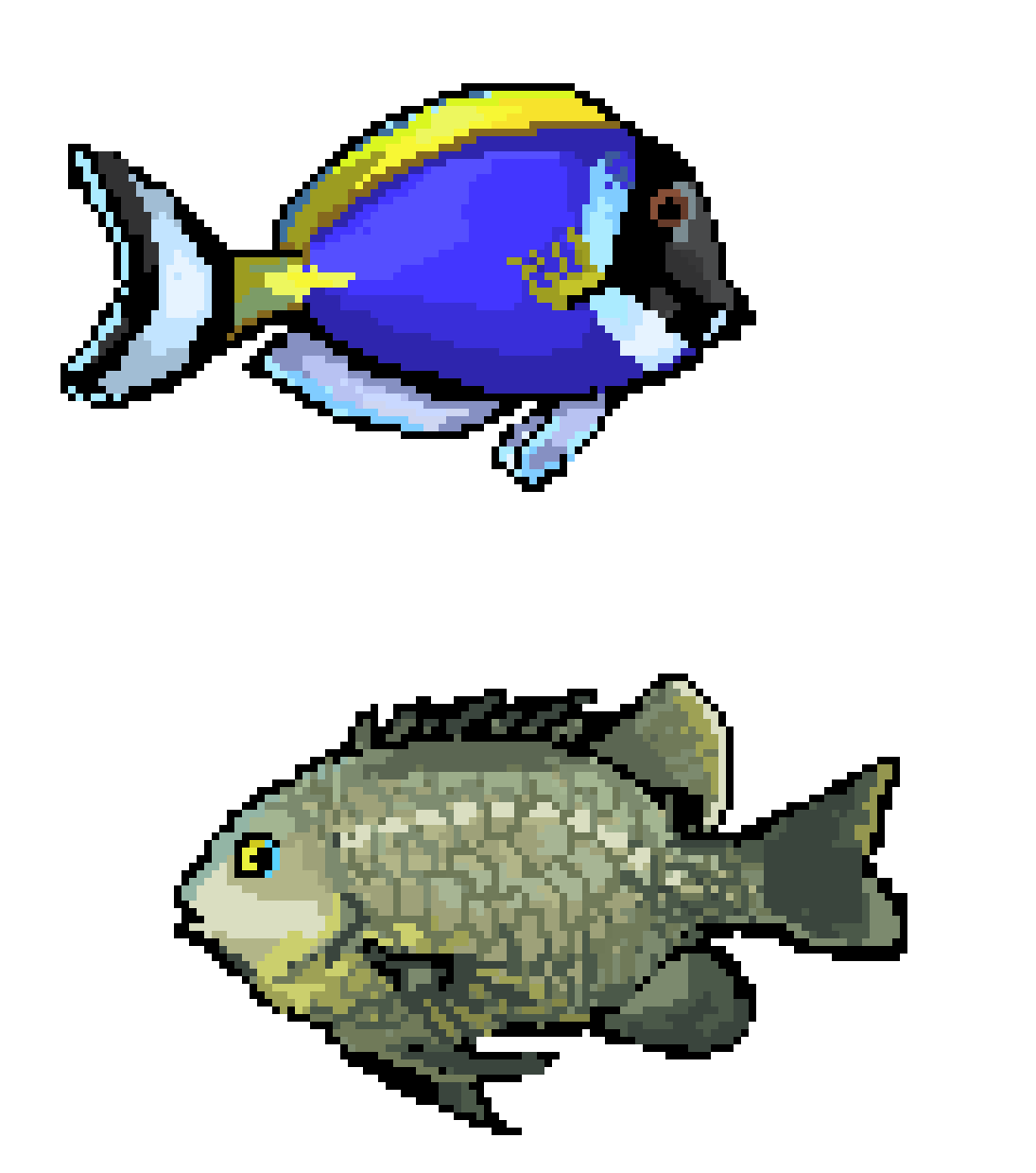 [88ff7b] More Fish!!