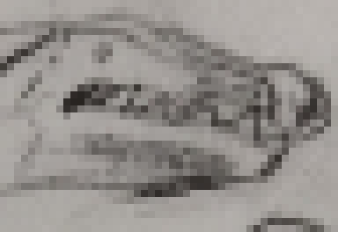 [816c09] Dino- its a thing I got from one of my favorite artists. Whenever they have an roaring thing they just put meow or bark.