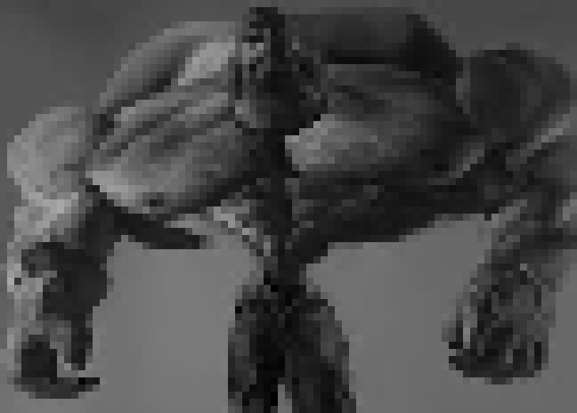 [224a35] ok hold on seriously though what the fuck is this monstrosity 