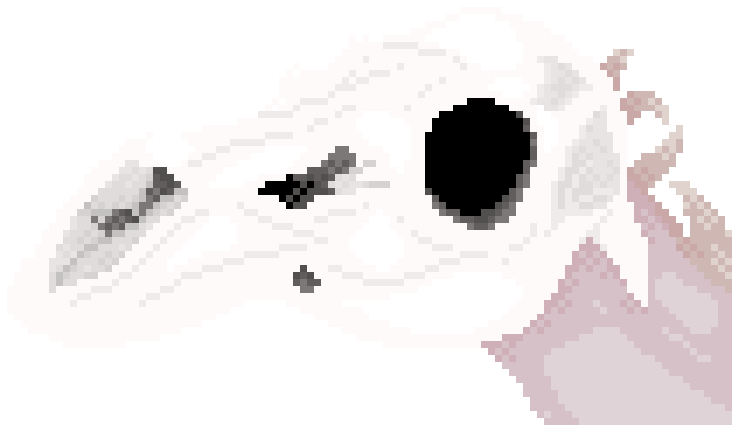 [e050bc] So, who all is here right now?