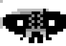 [00ede5] huh i dont see any