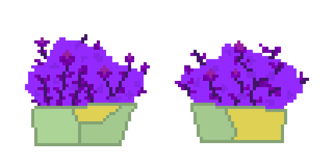 [0af2cf] purpura plant