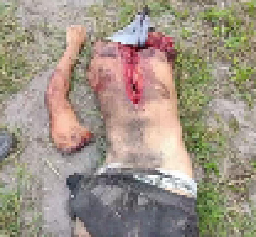 [e8ea8a] spam countered with one gore post