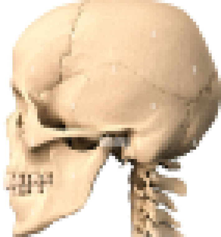 i don't wanna take 15 fucking minutes drawign spikes