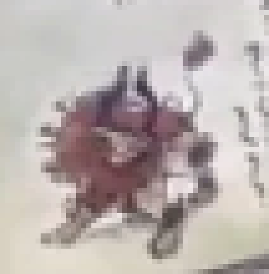 [5b2f3e] i mean ok this thing just somewhat resembles him