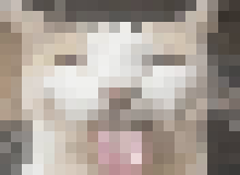 [fdcfdc]  