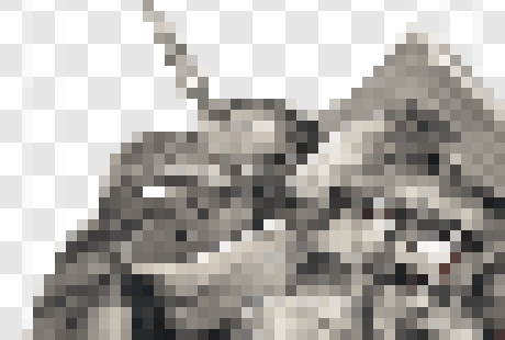 [869ea1] yeah nah i'm not showing ts then