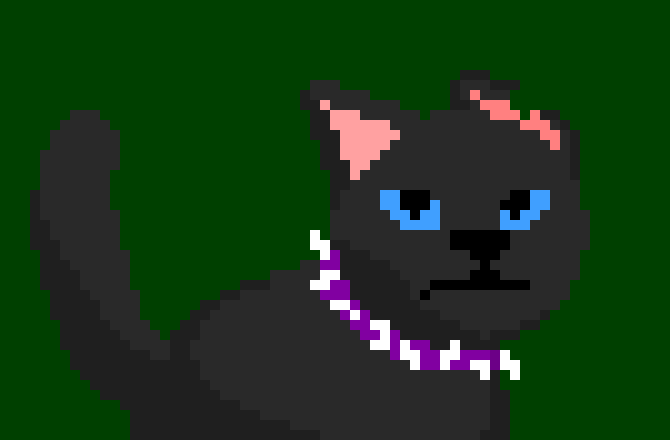 Scourge is a small black tom with one white paw, ice-blue eyes, glossy fur, and a torn left ear. He has a purple collar studded with teeth from dogs and cats, and claws reinforced with dogs' teeth. Scourge was the founder and the first leader of BloodClan.-Oreo  