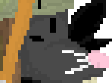 [8048ed] vro,, . ,  . , yap more., .,