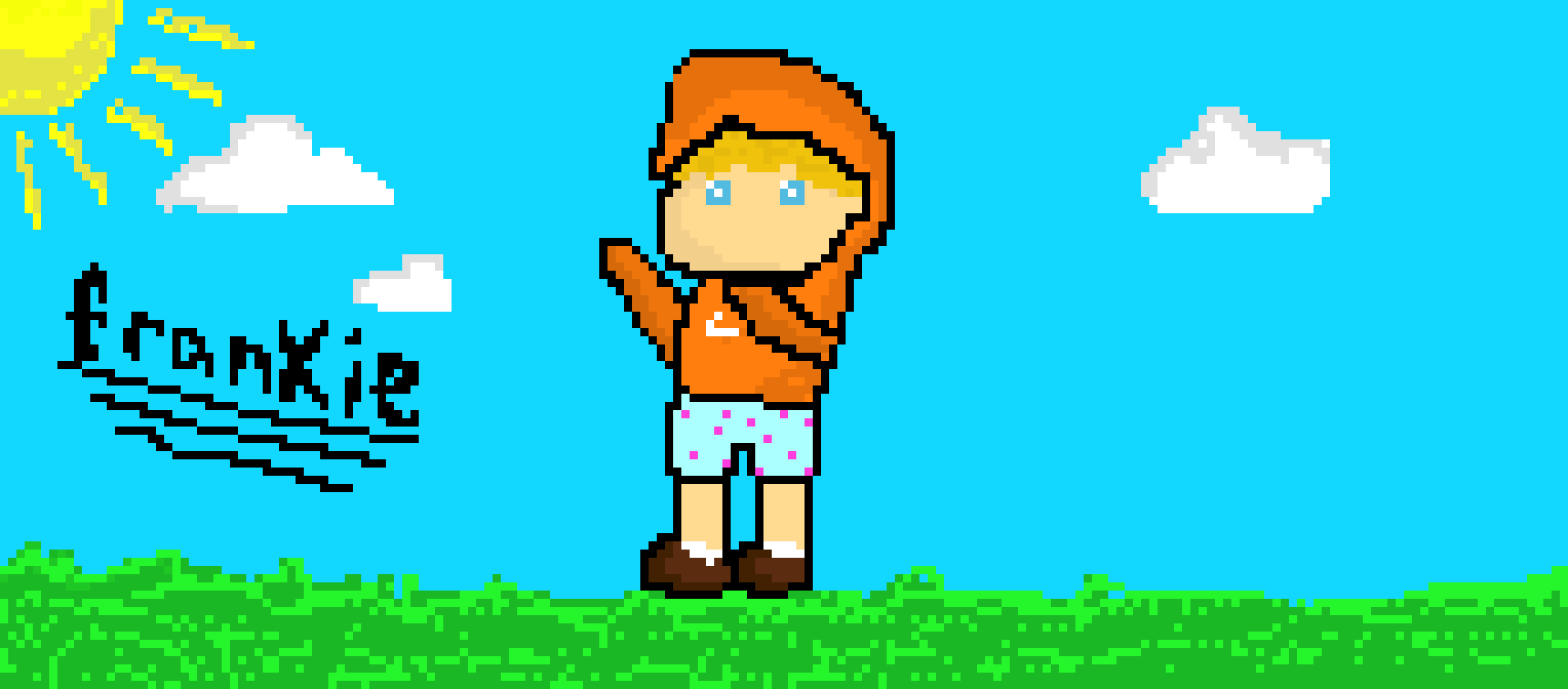 Pixel Frankie FINISH