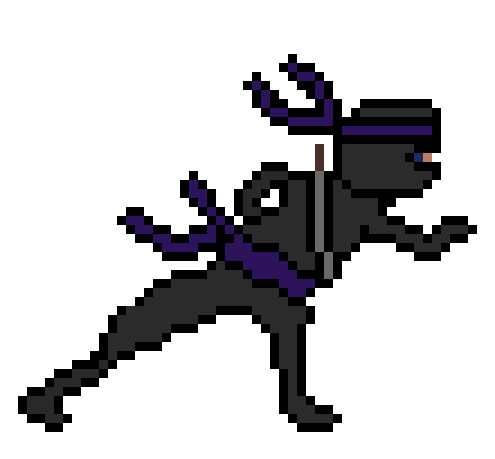 Running Ninja