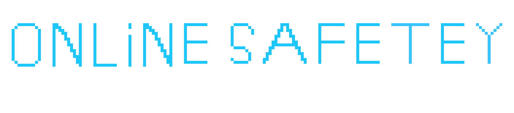 [551398] online safety