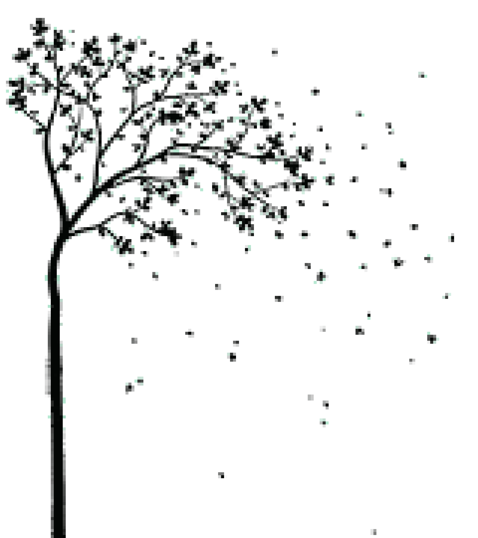 [873388] ArbreOctobre1