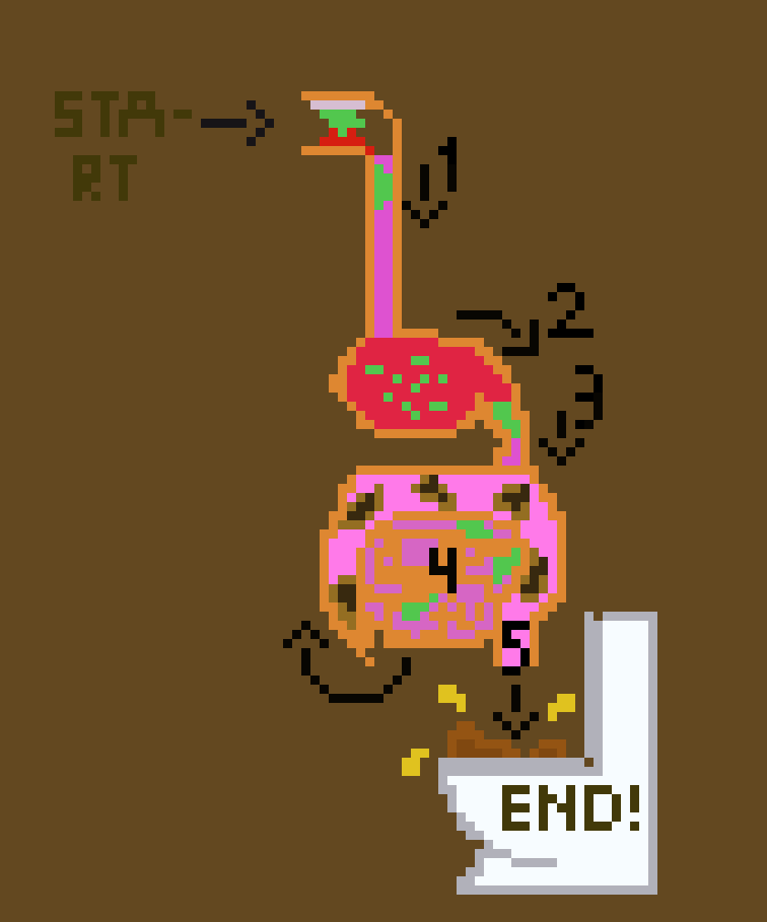 [701b30]  Anatomy: human digestive system