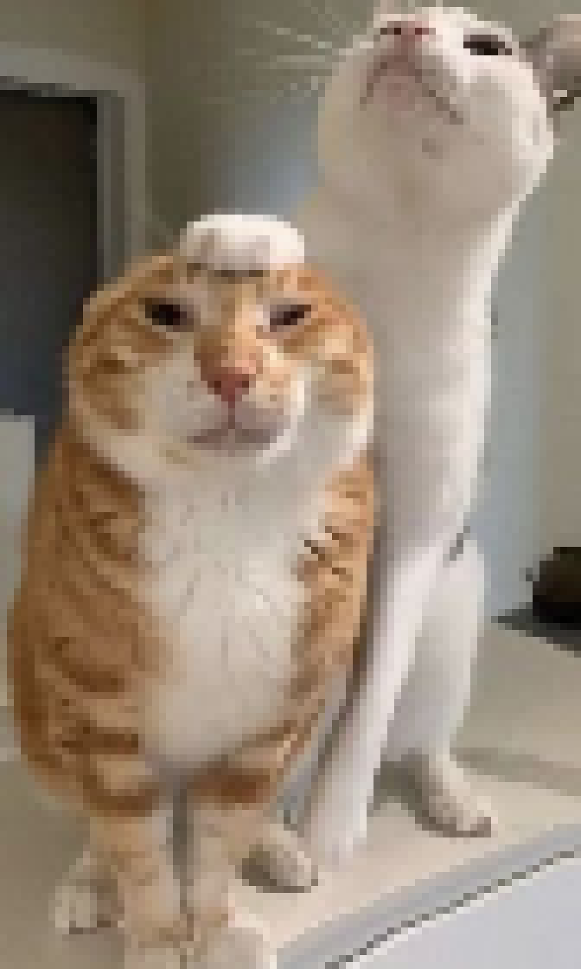 [319b35] this remix is peak 