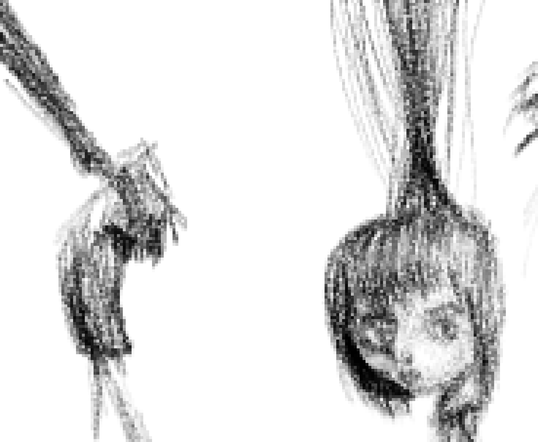 [777455] WOAH MARIO REFERENCE????