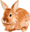 [dfdafc] animal_rabbit_2