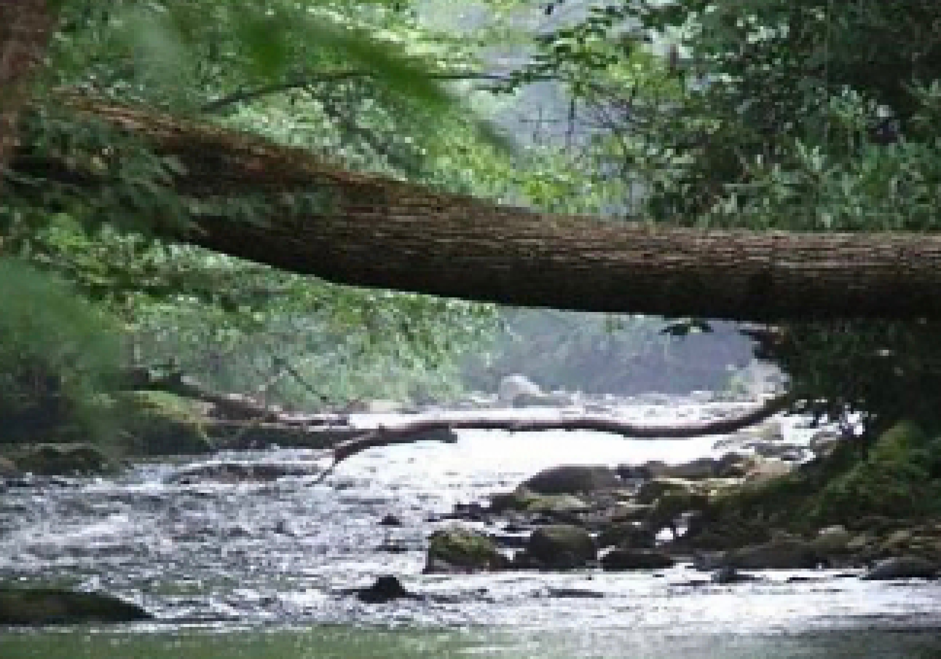 [f4b922] Q2 adaptation