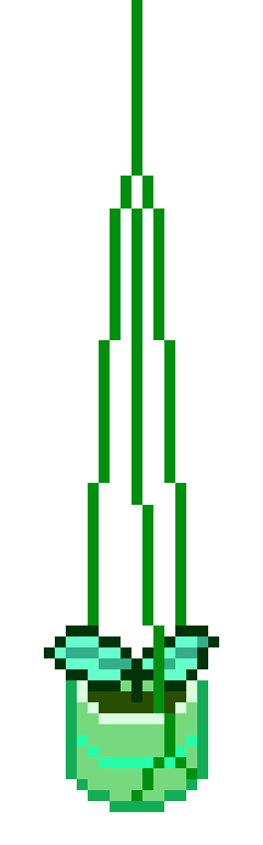 [c3653e] Omor basil HANGING plant.