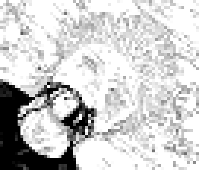 [7c9a4e] golden egg with- WHEN. WHERE DID THIS NIGGA GET THE FUNDS TO DO THAT.