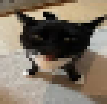 [299824]  