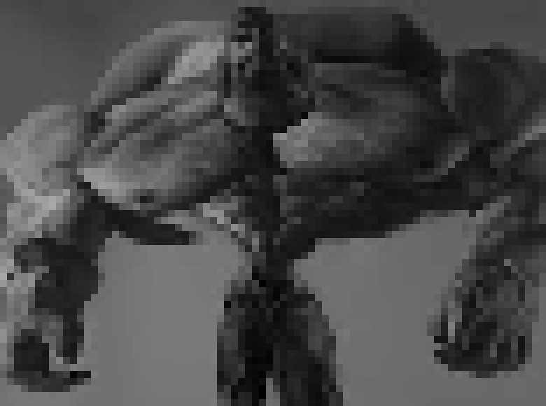 [224a35] *lunges at John like wither foxy* HELLLLLOOOOO!!!