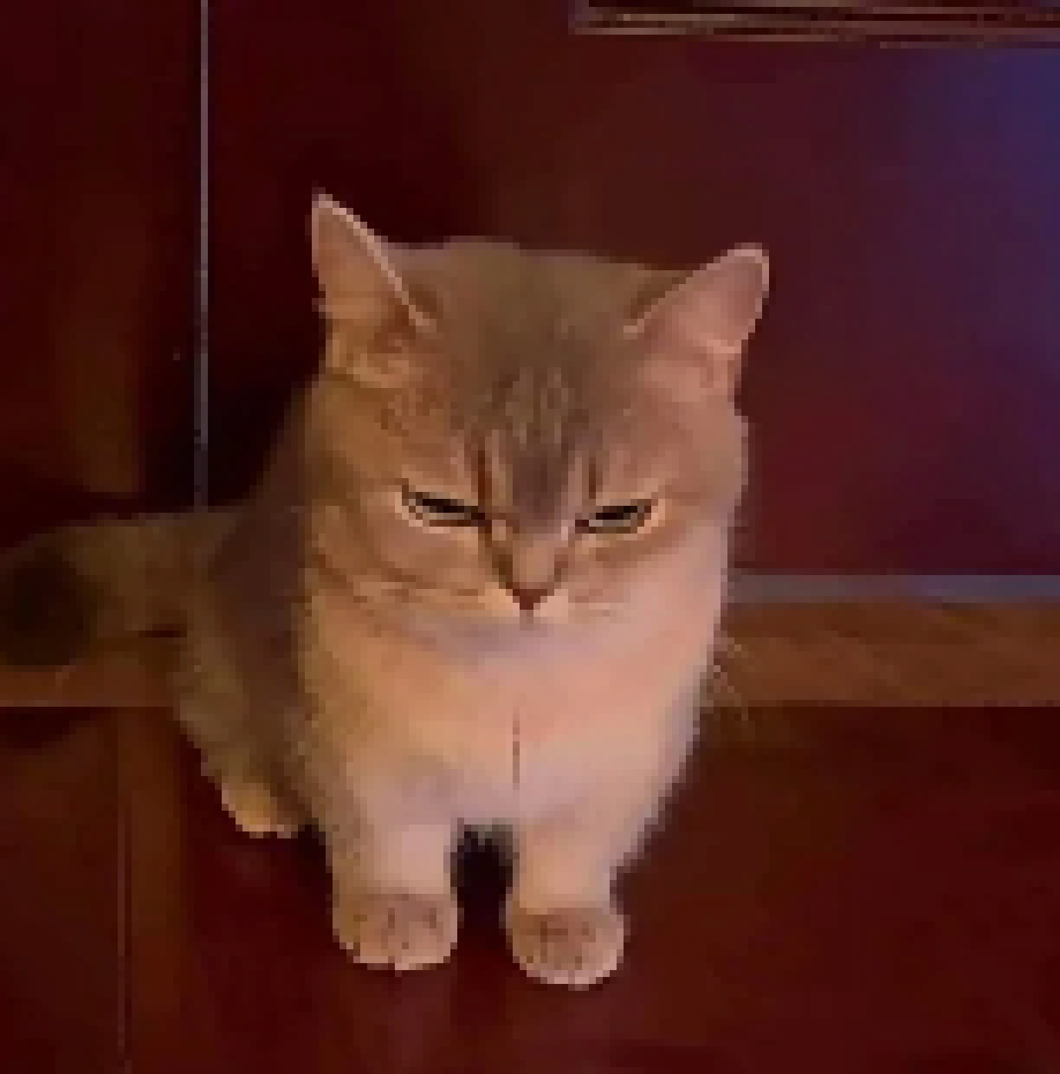 [9ce148] (*literally what is his problem)