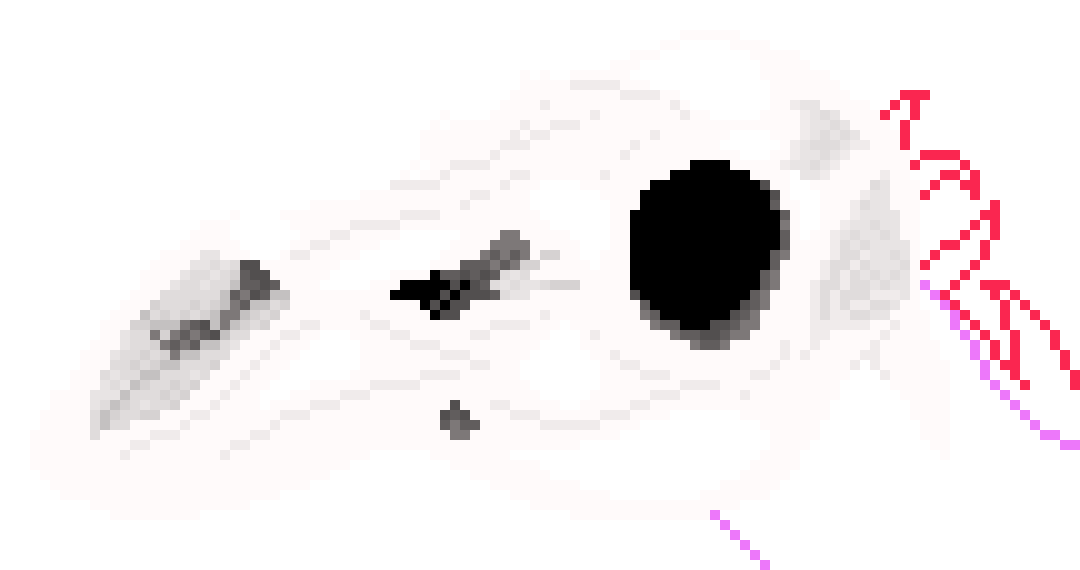 [e050bc] The head is done.