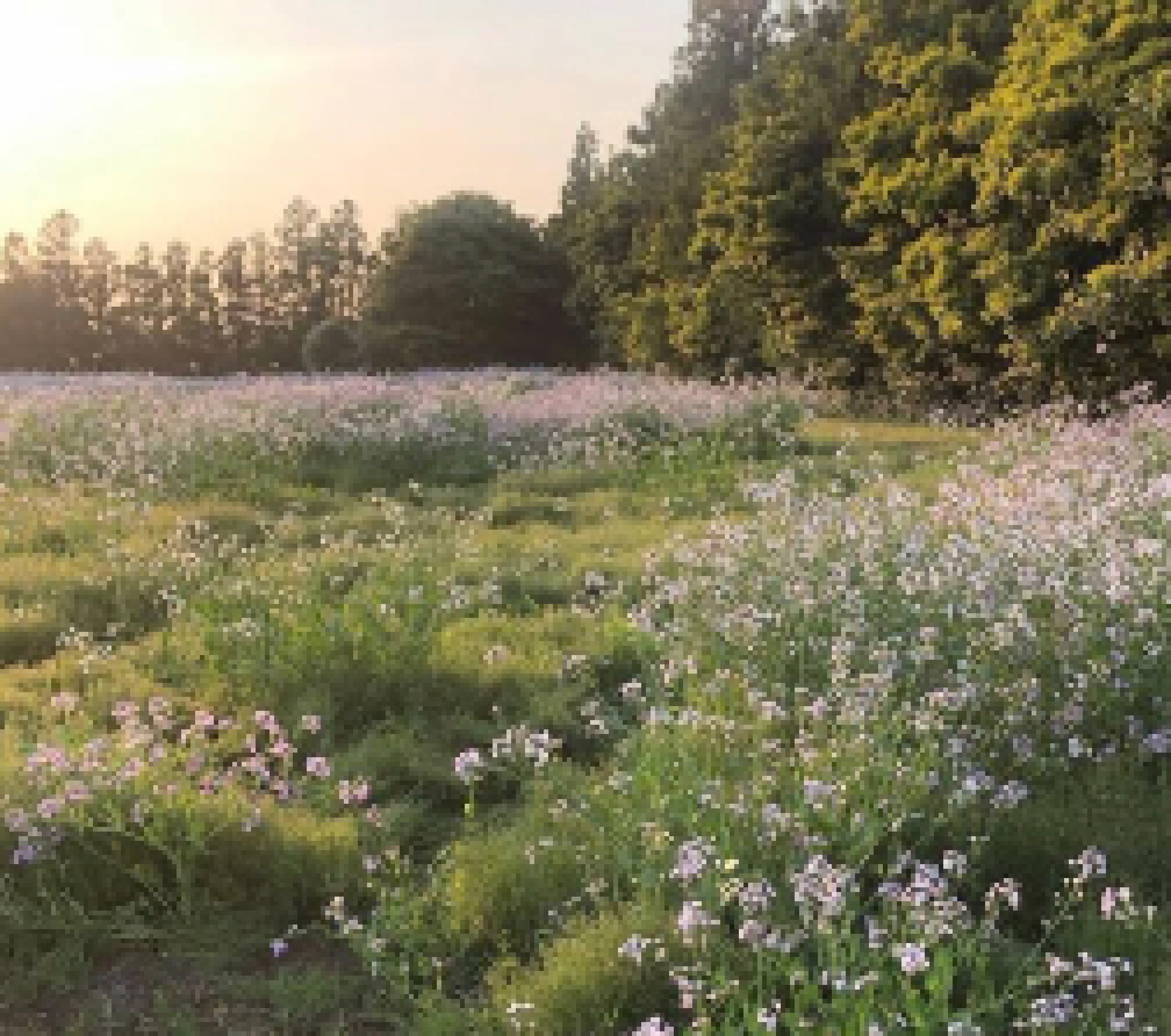 [3b4cf5] Poster data back