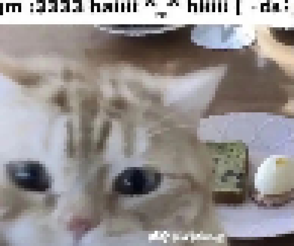 [ccce07] hi everybody