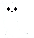Slugcat (Transparent)